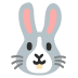 :rabbit_face: