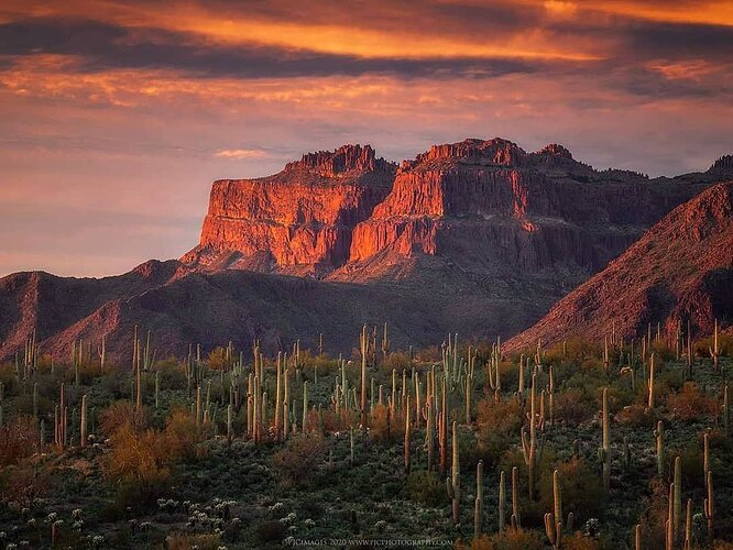 DesertLandscape