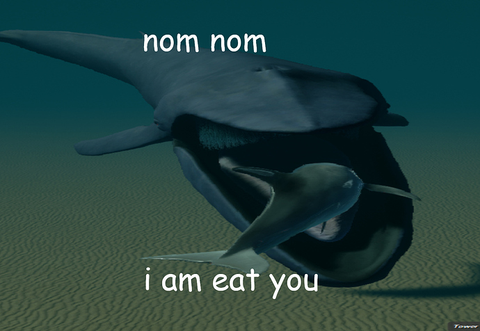 nom%20nom