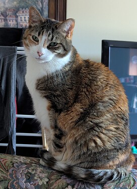 PXL_20250303_221353997