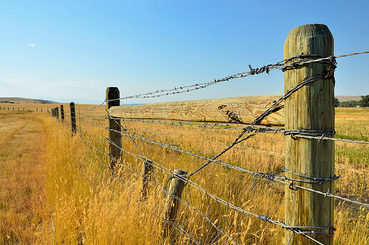 barbed_wire_fence_around_property
