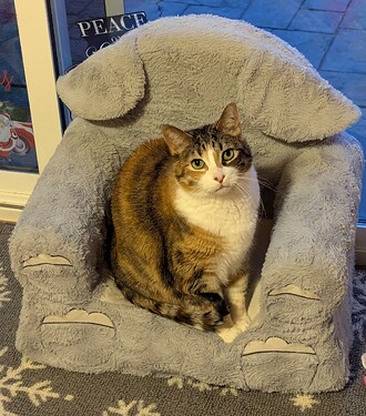 PXL_20241112_010010956_1