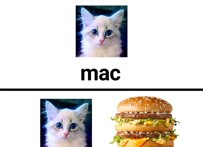 stupid mac meme