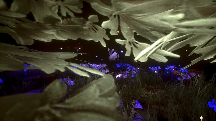 Screenshot_6