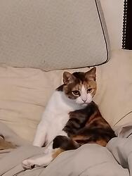 signal-2025-04-12-224950_002