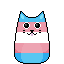 transgenderCatsack