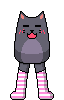 programmersocksCatsack