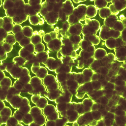microbes+algae-256x256
