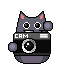 cameraCatsack