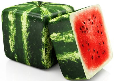 cube-shape-watermelon