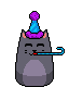 partyCatsack