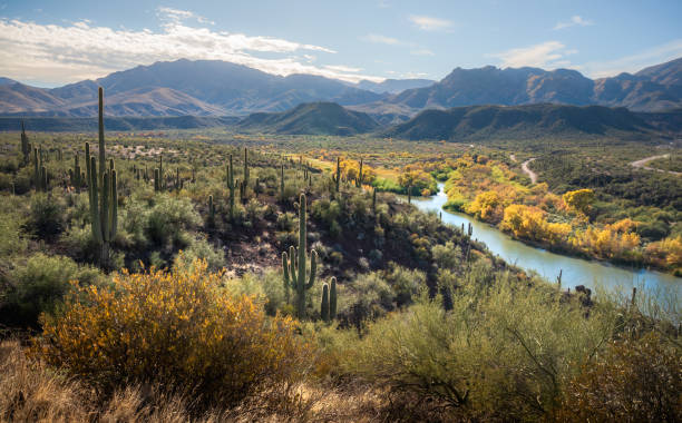 DesertLandscape7