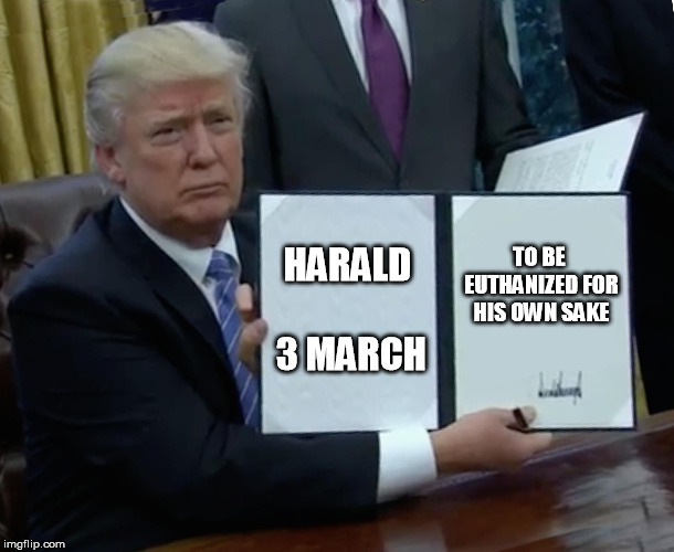 meme016