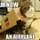 airplane_cat