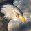 Eaglezero6205