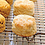 Electro_Biscuits
