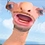 KinglePringle