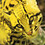 Pantone_Ocelot